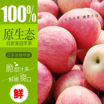 山西吉县壶口苹果水果新鲜10斤正宗当季红富士脆甜冰糖心苹果整箱
