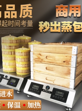智国电加热蒸汽炉多功能台式秒出