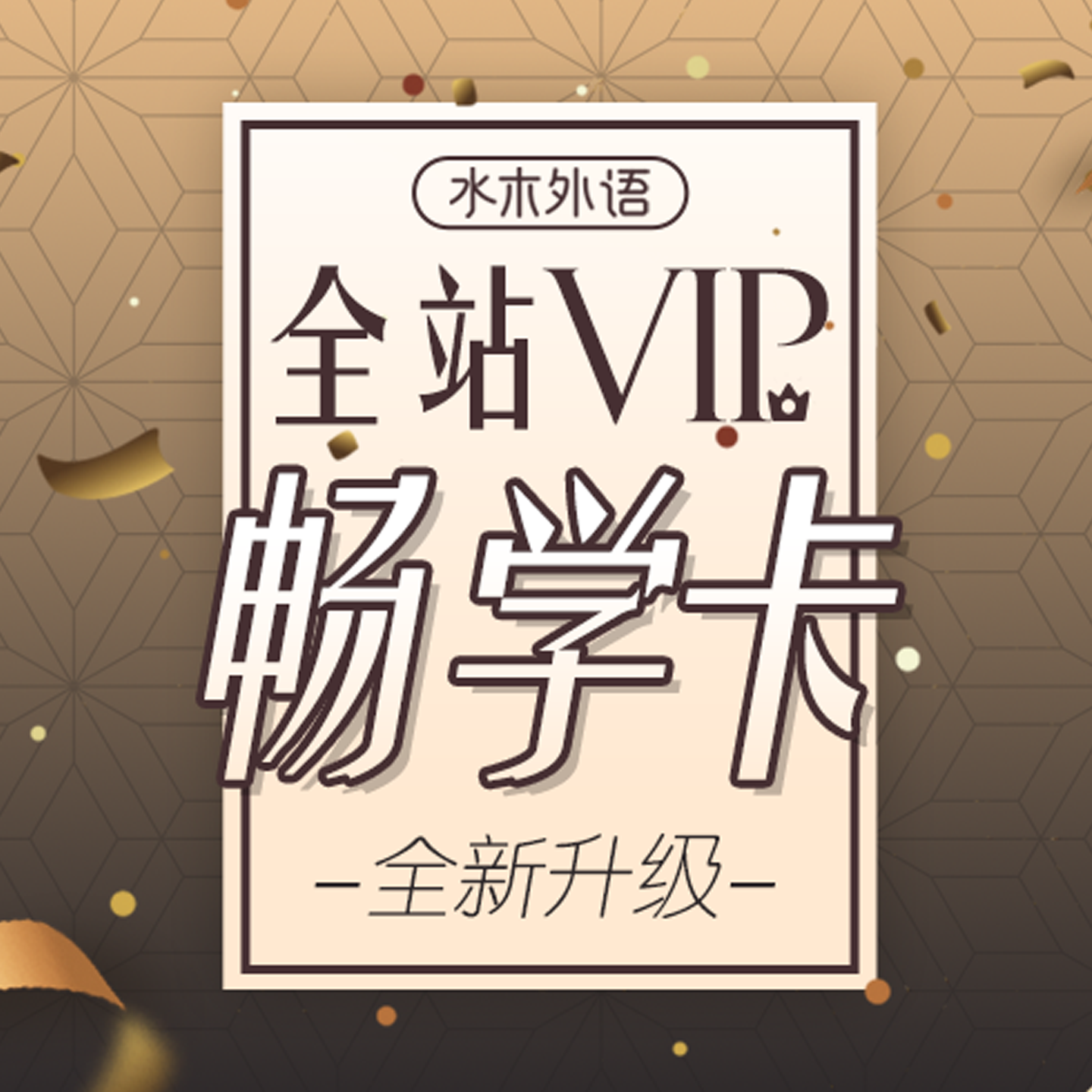 多语种全站VIP终身畅学卡（双十一专享）