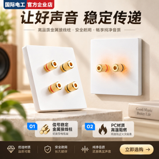 86型二位音箱超薄插座面板墙壁音频接线柱镀铜香蕉插头功放连线板