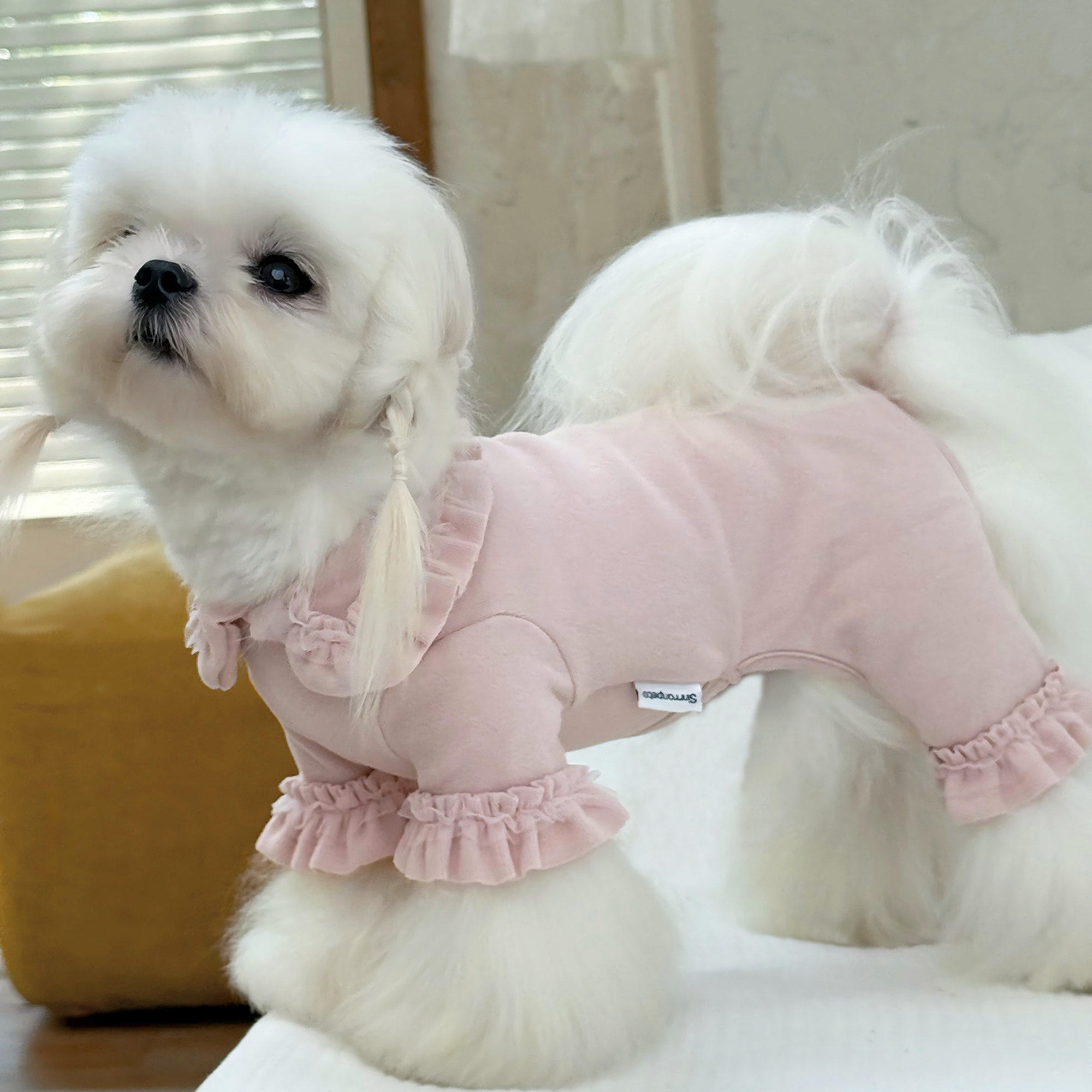 小型犬四脚衣韩系荷叶边宠物家居服打底衫马尔济斯西施约克夏比熊