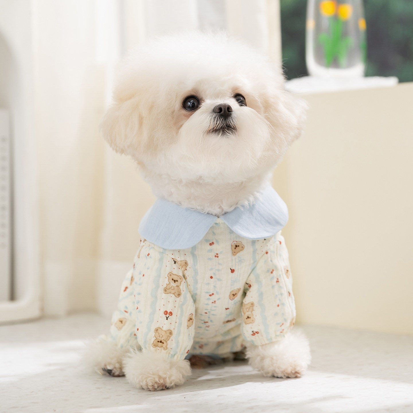 纯棉狗狗衣服26春夏新款薄款透气母猫绝育服小型犬小猫咪宠物衣服