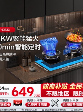 海信天燃气双炉灶具台嵌两用嵌入式大猛火以旧换新补贴DB33