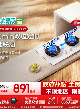 海信大薄荷系列双炉天燃气灶具台嵌入两用式以旧换新DB50W白色
