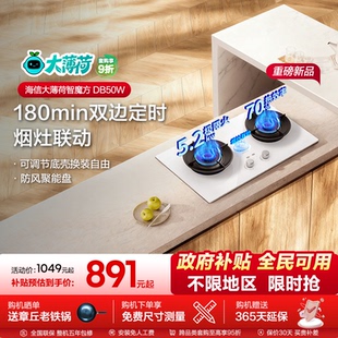 海信大薄荷系列双炉天燃气灶具台嵌入两用式以旧换新DB50W白色