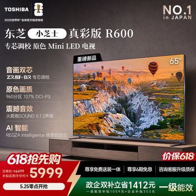 东芝小芝士R60065吋原色MiniLED
