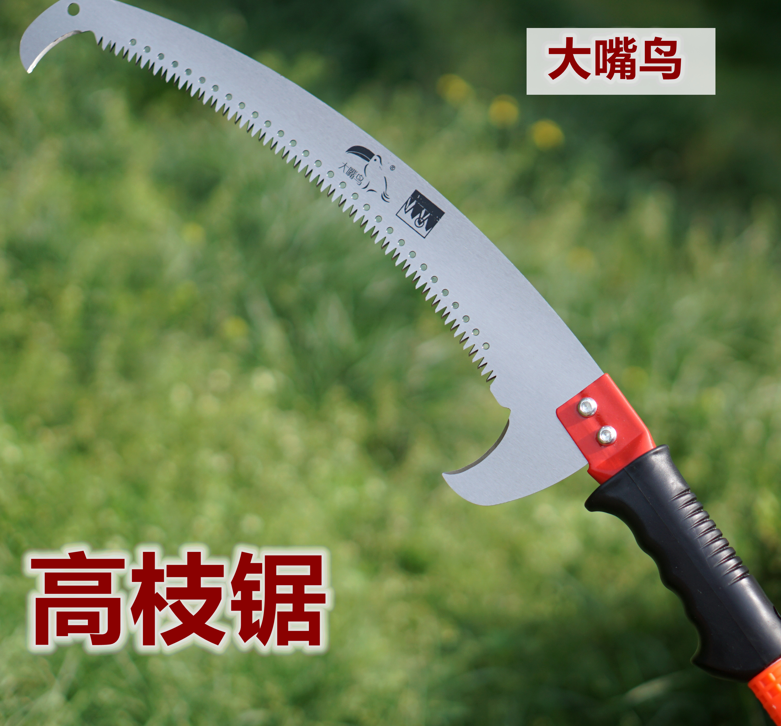 进口园艺高空果树树枝摘果高枝剪