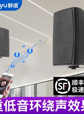 聆语 TB5L蓝牙音响店铺专用舞蹈室会议式商铺有源壁挂音箱室重低
