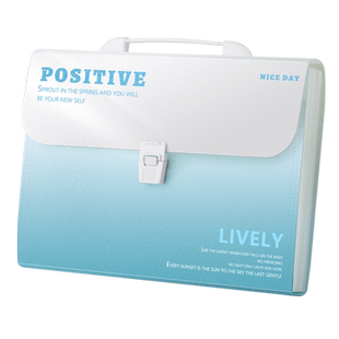 A4手提文件夹试卷袋学生专用卷子收纳袋多层大容量手拎式资料册风琴包初中生高中生书夹子高颜值科目分类收纳