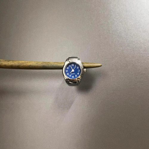 Vintage古着 Medieval flip cover戒指