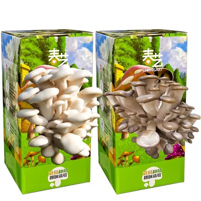 diy春艺精灵食用游戏盒装菌菇包