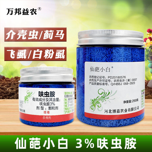 仙葩小白药多肉介壳虫