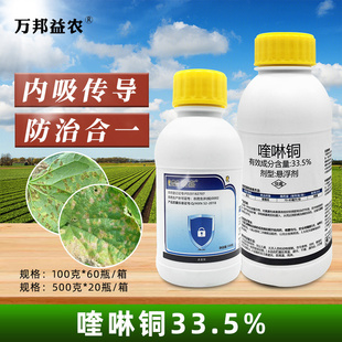 33.5%喹啉铜悬浮剂农药杀菌剂农用药黄瓜专用杀菌药霜霉病通用药