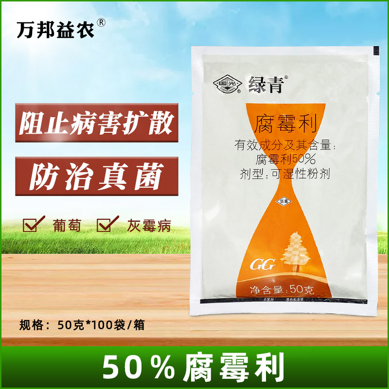 国光绿青腐霉利蔬菜果树草坪葡萄灰霉病菌核病黑星病褐斑病杀菌剂