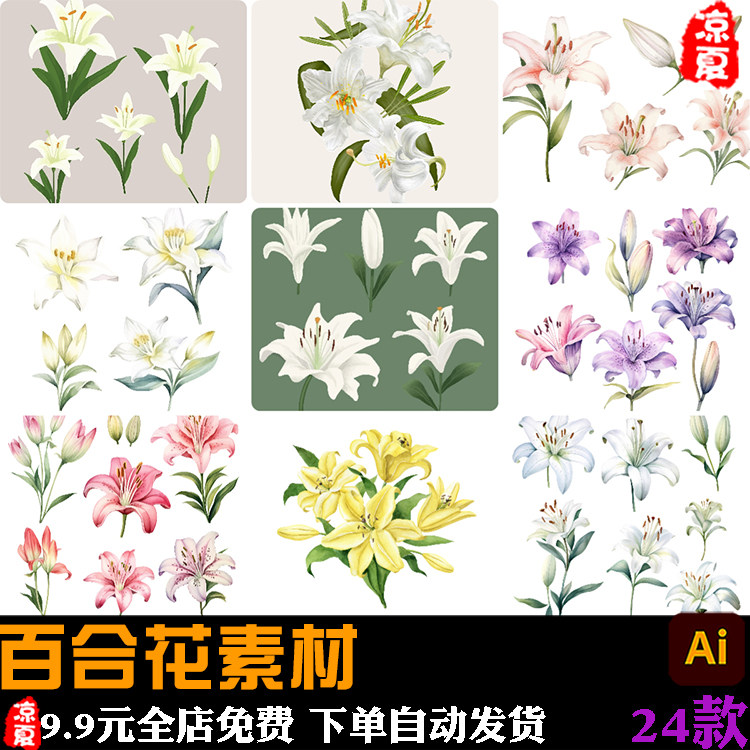 卡通手绘百合花鹿子百合香水百合花卉装饰插画ai矢量设计素材