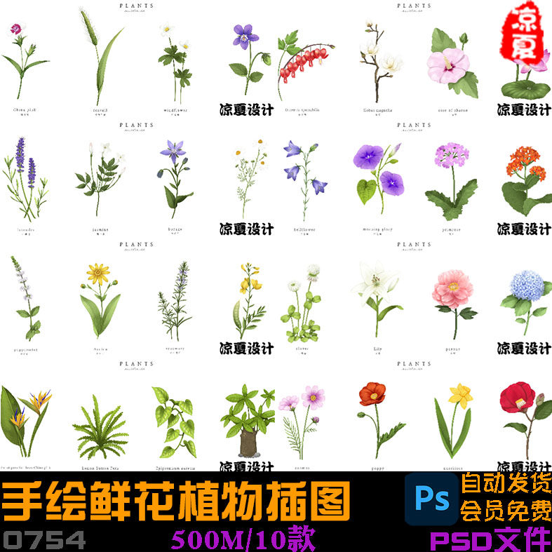 手绘鲜花草本植物野花小草插图海报psd分层设计素材模板