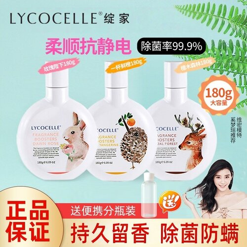 檀木森林一杯鲜橙玫瑰陛下