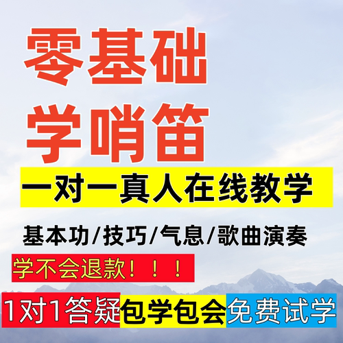 爱尔兰哨笛顺笛一对一教学网课在线学习课后辅导笛子竖笛流行音乐
