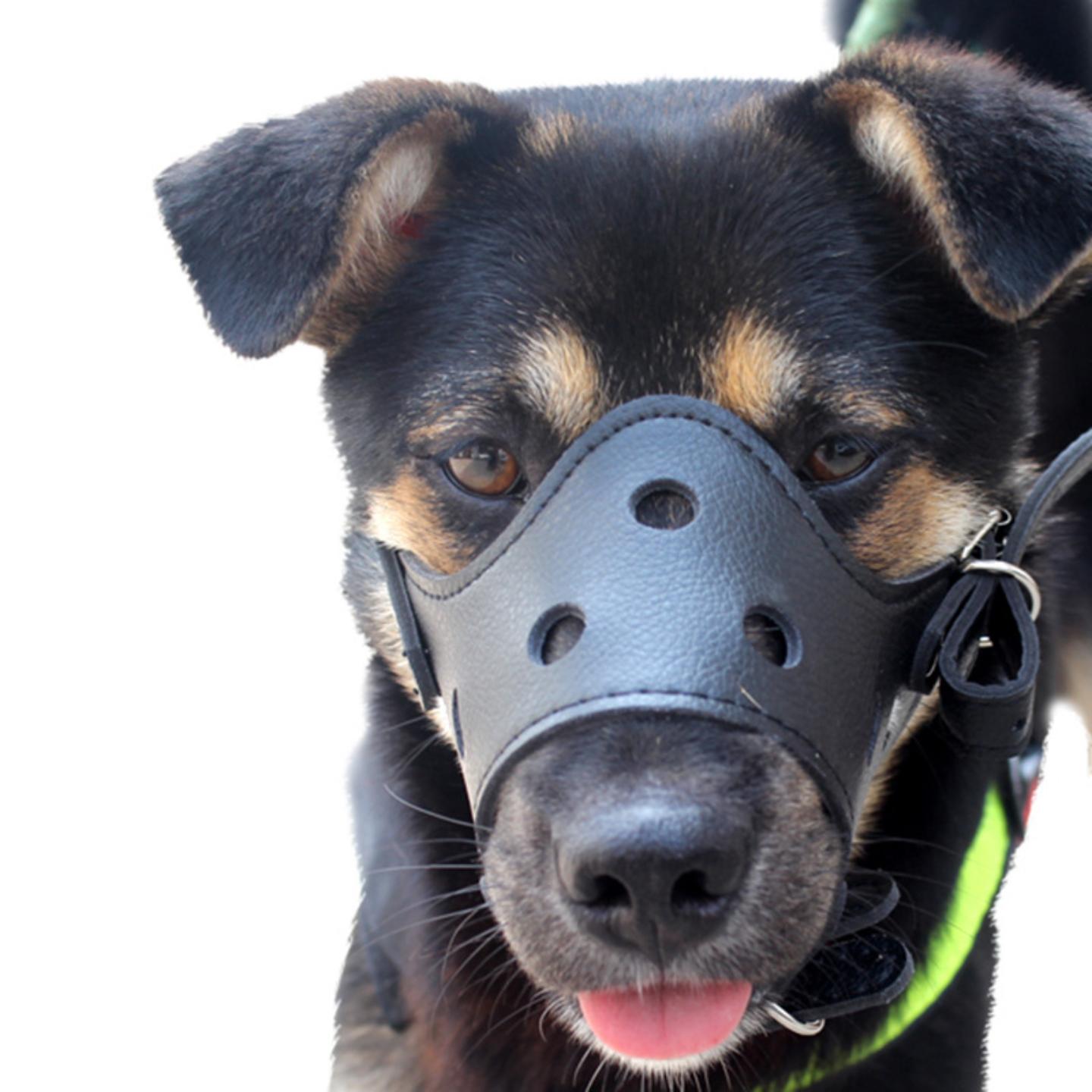 马犬德牧狗狗嘴套防咬叫中大型犬