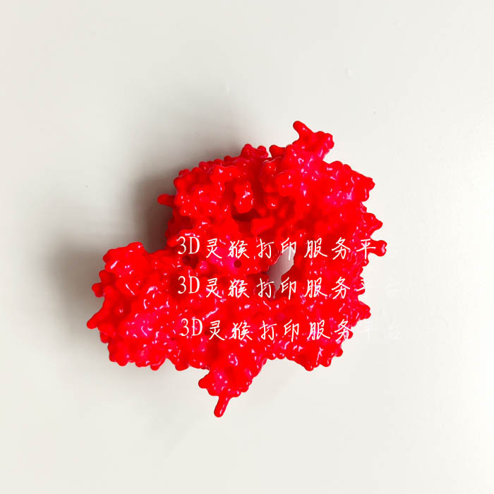 3D打印定制古细菌DNA聚合酶的晶体Surface结构模型