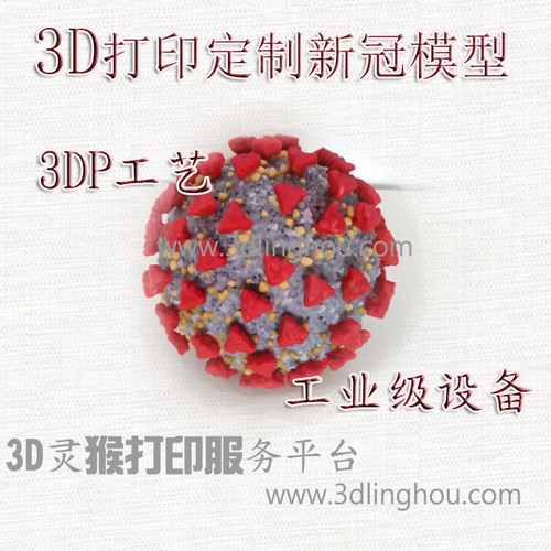 全彩3d打印定制新冠肺炎病毒模型