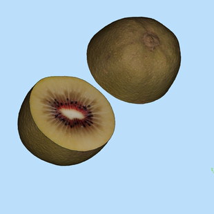 wrl格式 ZBR OBJ 1扫描带颜色 猕猴桃模型004211028三维图纸