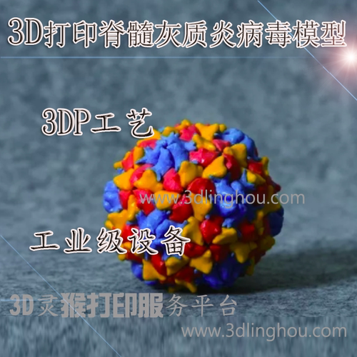 全彩石膏材料3D打印定制脊髓灰质炎病毒模型