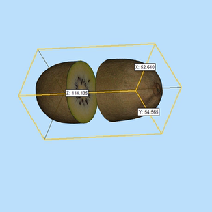 ZBR 1扫描坡面猕猴桃模型01211028三维图纸 OBJ wrl格式