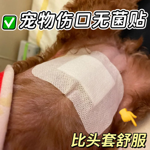 宠物创可贴猫咪狗狗绝育伤口贴