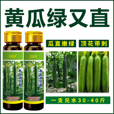 黄瓜拉直拉长素顺直嫩直长黄瓜专用膨大素调节剂顶花带刺叶面肥料