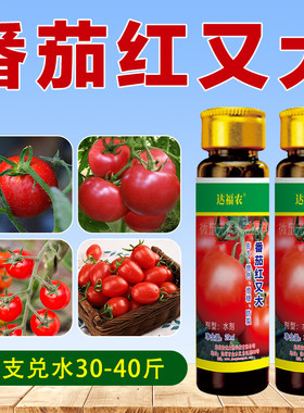 番茄膨大素正品防裂着色剂西红柿专用快速膨大催红增甜叶面肥料