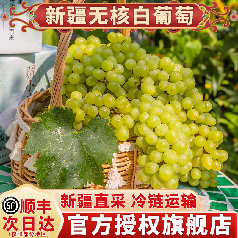 正宗新疆无核白葡萄清甜多汁
