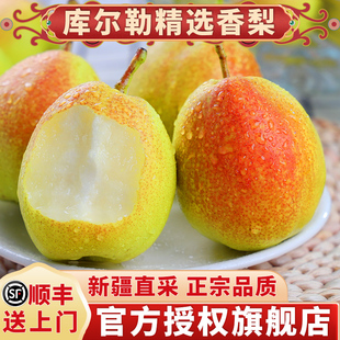 正宗新疆库尔勒香梨当季现摘新鲜水果母梨子小香梨整箱顺丰包邮