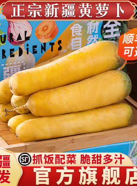 新疆黄萝卜新鲜蔬菜手抓饭餐饮直供新货农家自种冰糖心黄色胡萝卜