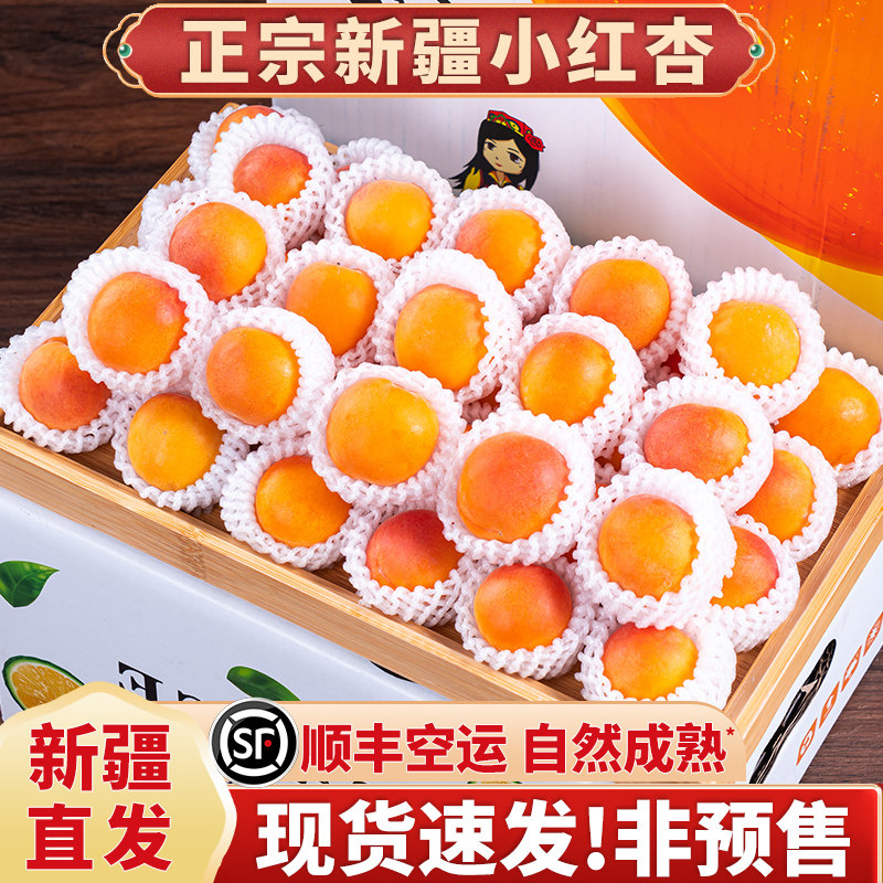 现货新疆小红杏新鲜杏子水果阿克苏吊干杏整箱当季甜胜吊干小红杏