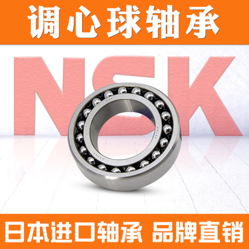 NSK轴承1215 1216 1217 1218 1219调心球日本