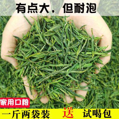 霍山茶叶黄芽2026新茶雨前高山