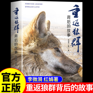 重返狼群正版书籍 重返狼群背后的故事 李微漪红娟著 南海出版社 千里寻你让我陪你重返狼群书完整版原版1 2再见格林带你回归返回