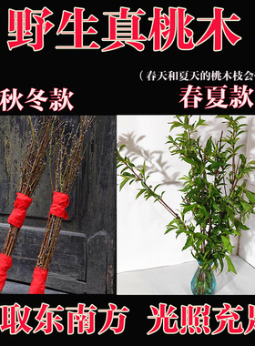 镇宅老桃木野生桃枝婴儿孕妇宝宝惊吓啼哭护身桃树枝安宅保平安