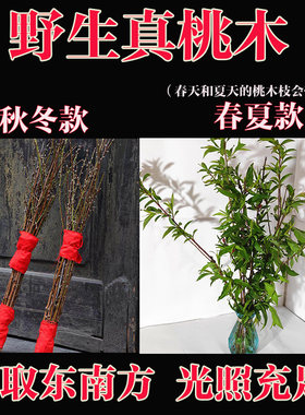 镇宅老桃木野生桃枝婴儿孕妇宝宝惊吓啼哭护身桃树枝安宅保平安
