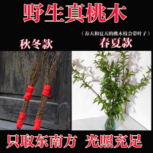 镇宅老桃木野生桃枝婴儿孕妇宝宝惊吓啼哭护身桃树枝安宅保平安