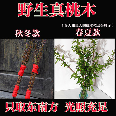东南老桃木野生桃枝婴儿孕妇宝宝惊吓啼哭护身桃树枝安宅保平安