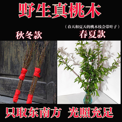 东南老桃木野生桃枝婴儿孕妇宝宝惊吓啼哭护身桃树枝安宅保平安