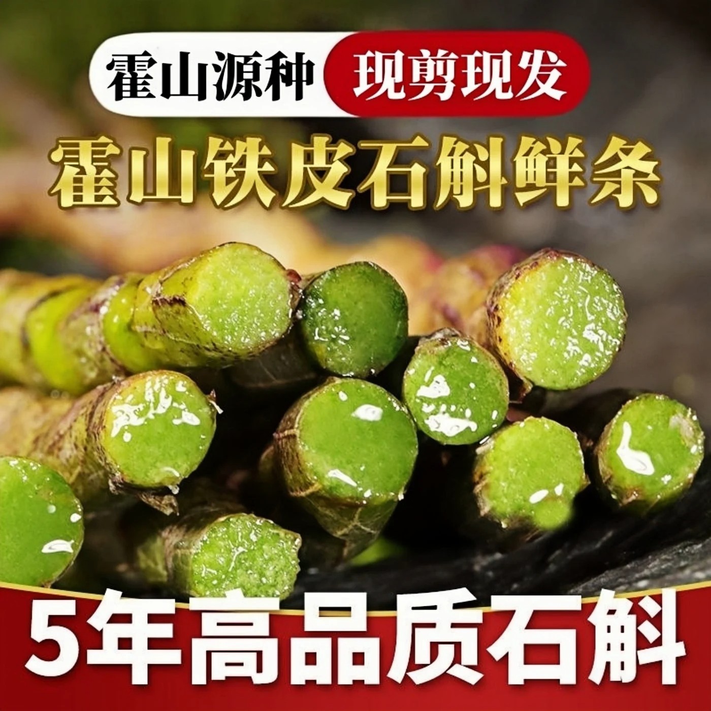 安徽霍山铁皮石斛鲜条