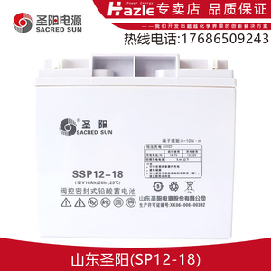 圣阳SP12-18 24 38 40 50 65 100 120 150 200AH密封阀控式免维护