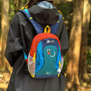 户外小型登山包女轻便徒步旅行包男童卡通双肩包出游小背包iPad包