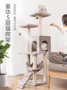 猫爬架特价 五层大型猫咪架子猫咪玩具猫跳台大猫咪用品 款 猫窝四季