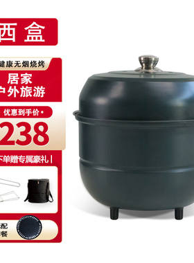 西盒空气炉不锈钢烧烤炉烧烤架防风围炉煮茶家用野餐烤肉烤红薯绿