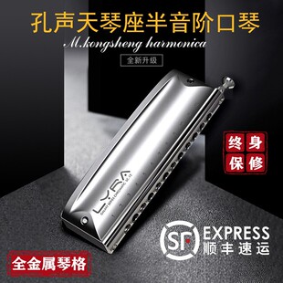 孔声12孔天琴座半音阶口琴LYRA金属琴格新手成人初学入门练习专业