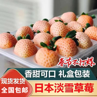 天使淡雪白色黑色草莓过年春节节日送礼女友礼物领导公司客户礼品